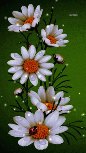 Animated+Flowers.gif (294×523)