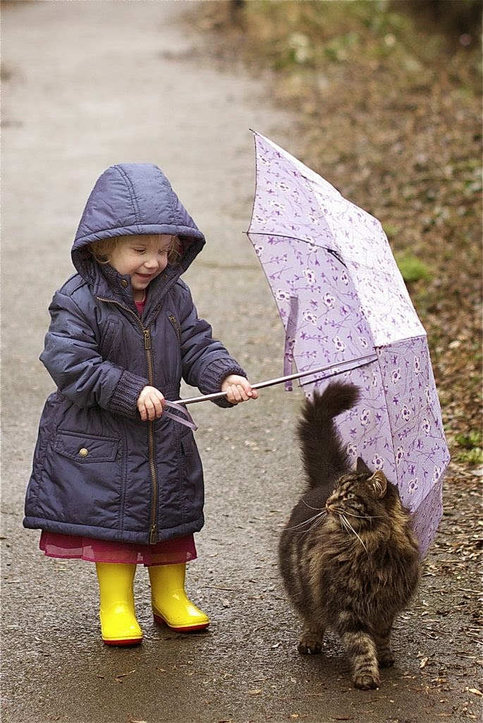 Choco Toujours Cats & Umbrella