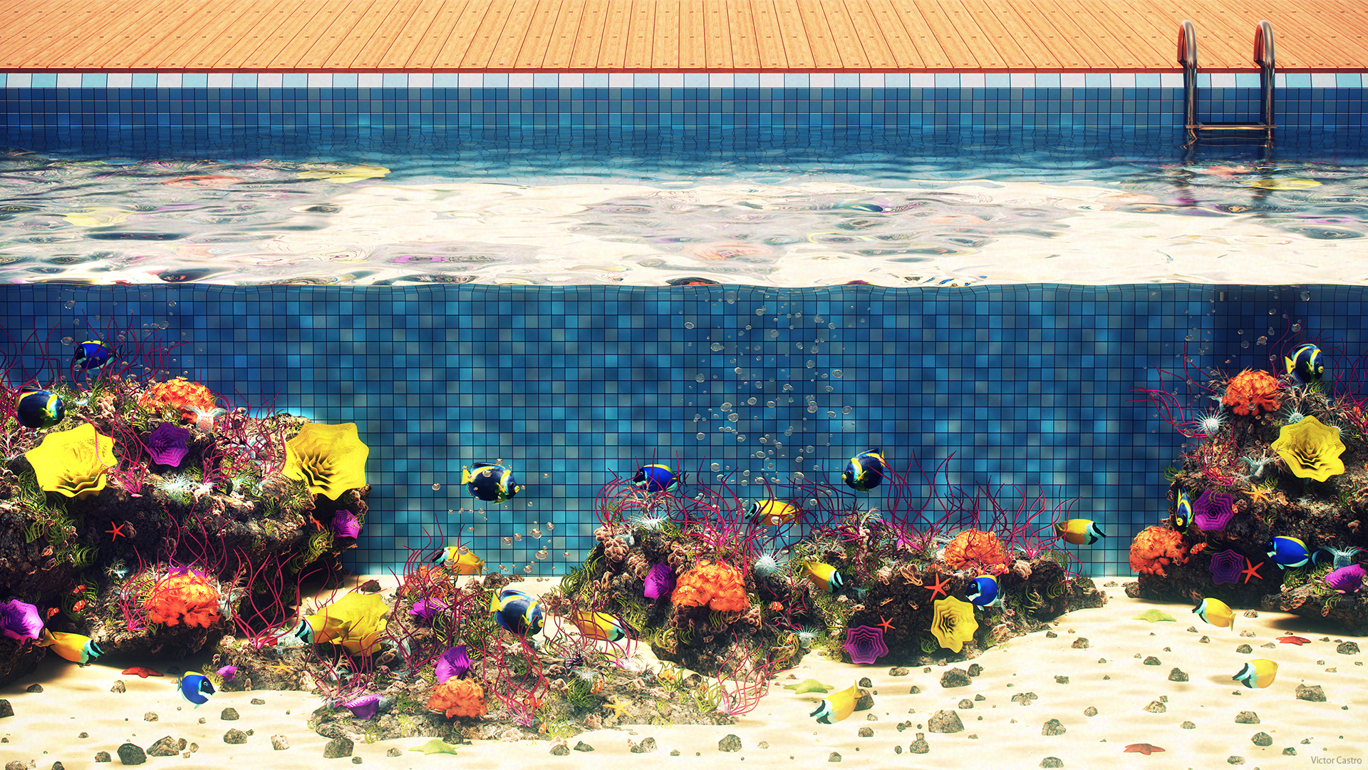Oceanic Pool on Behance