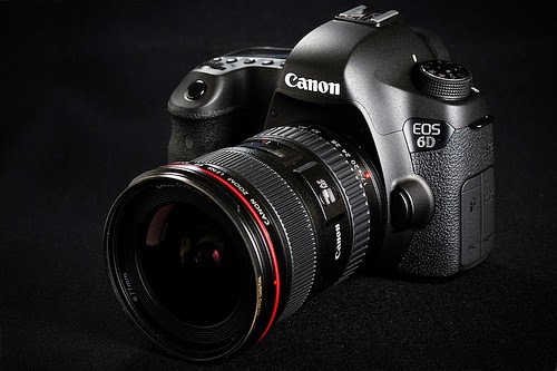Michael Daniel Ho - The Wildlife Ho-tographer: Canon EOS-6D Firmware 1.