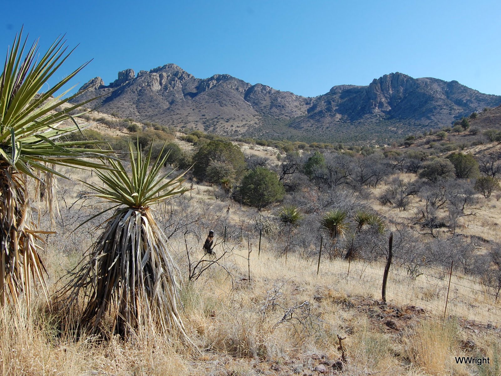 Anywhere USA Hanging in Southwest Texas