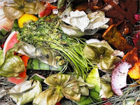 Salvemos el Planeta Tierra