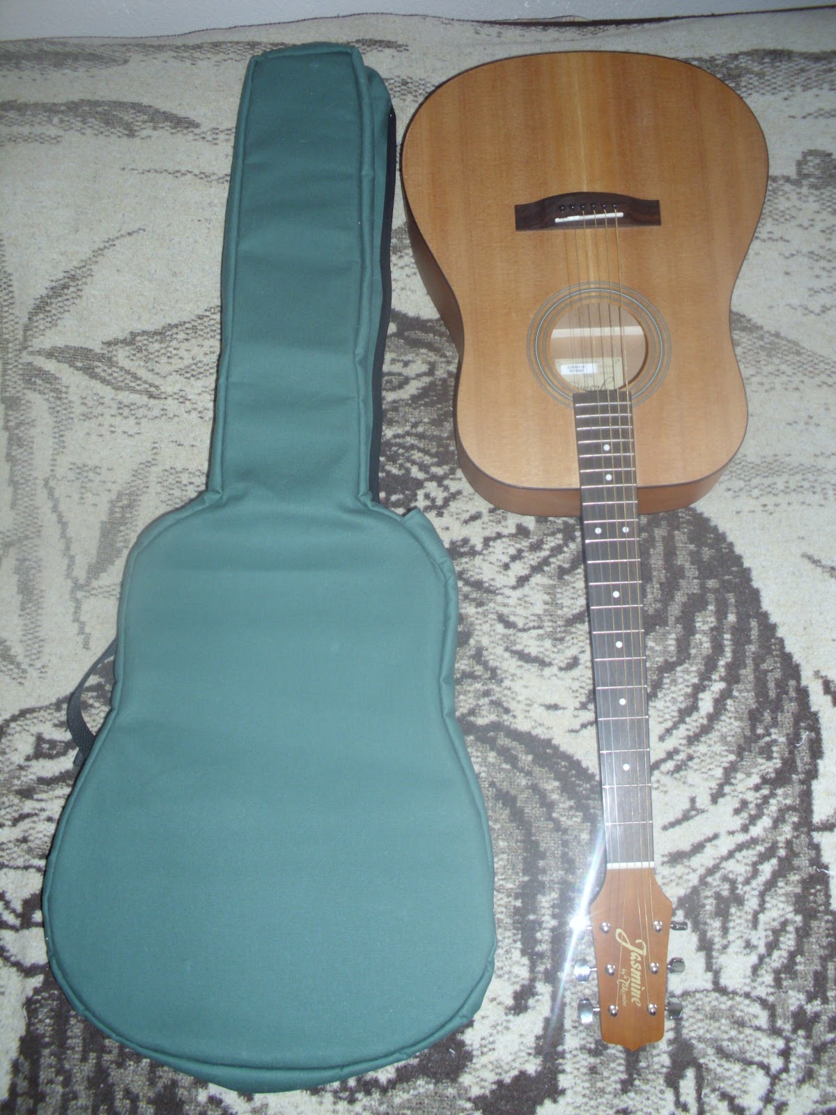 Homemade Guitar Case