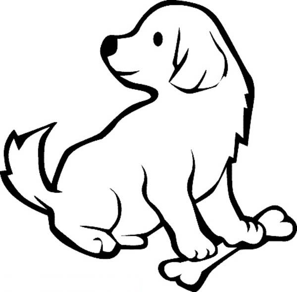 100 Gambar Anjing Hitam Putih Kekinian Gambar Pixabay