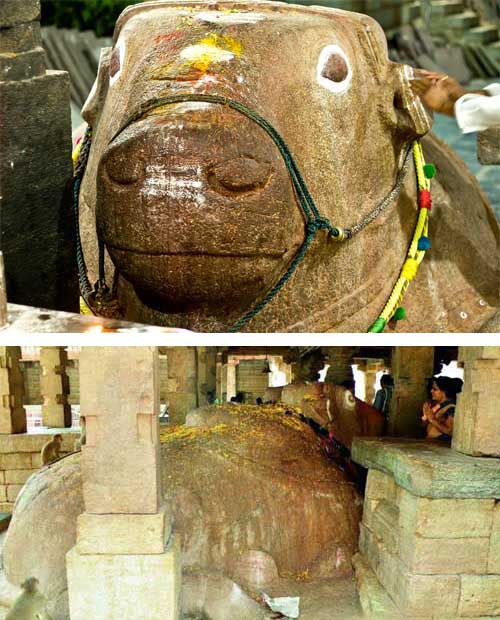Growing Nandi At Yaganti Temple – Will Come Alive At End Of Kali Yuga -  Hindu Temple Miracles | Hindu Blog
