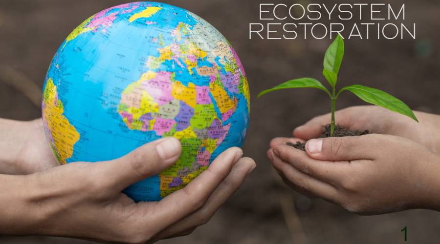 World Environment Day 2021 Saturday 5 June Celebrating Ideas History world-environment-day-2021-saturday-5-june-celebrating-ideas-history