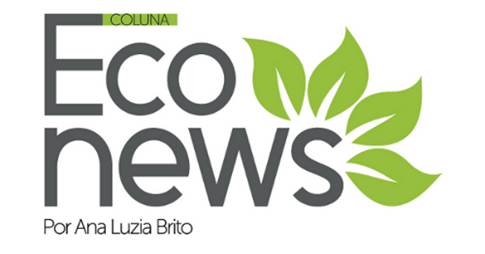 Coluna Eco News