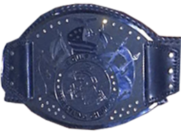 260px-NWA_Gulf_Coast_Heavyweight_Champio