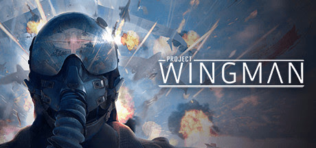 free download project wingman