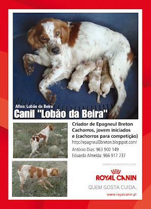 ANUNCIO NA REVISTA CAÇA e CÃES DE CAÇA