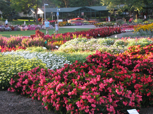 timeless reflections: Flower Gardens