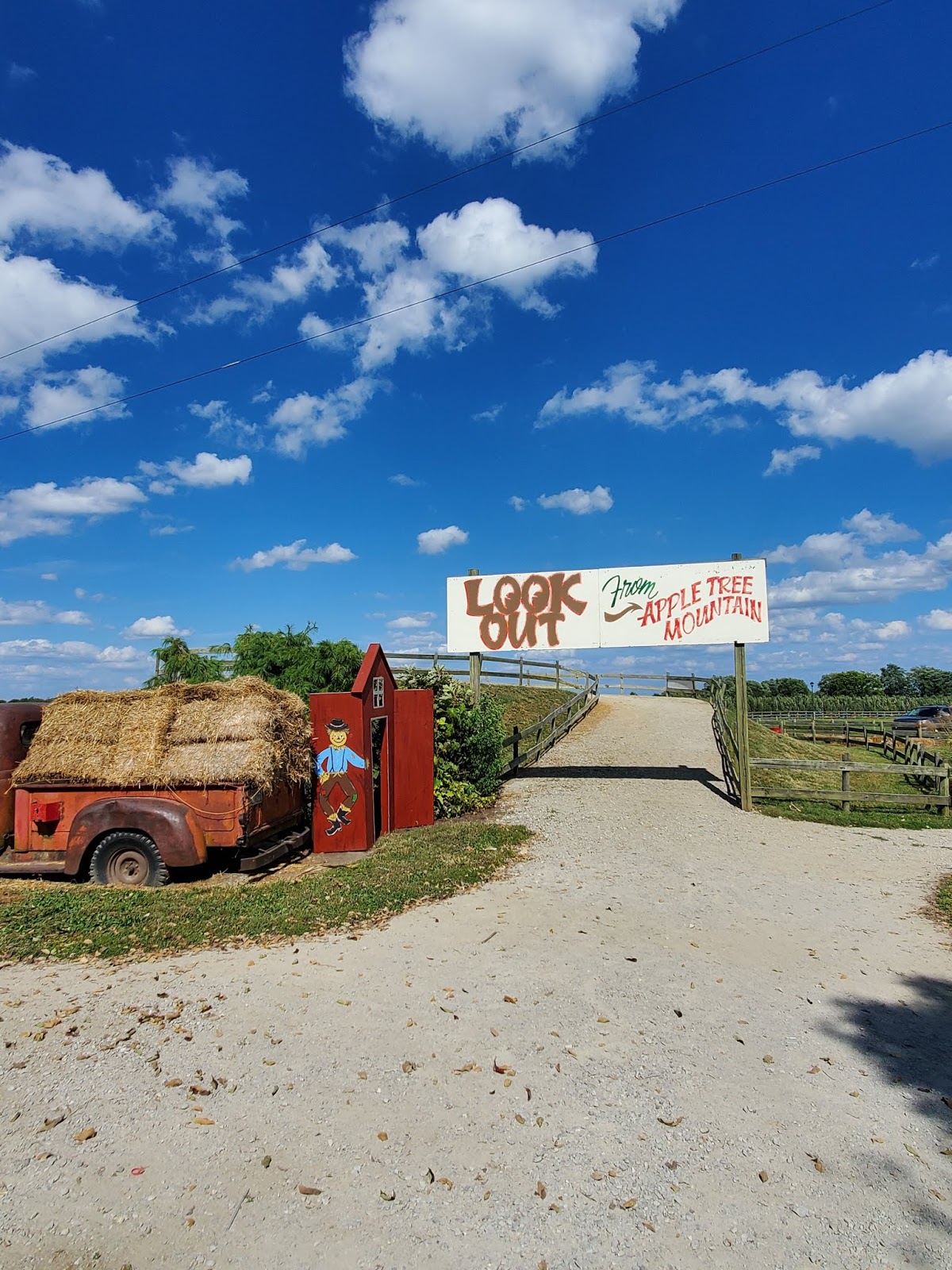 St Louis Zoo Train Ride Cost Literacy Basics