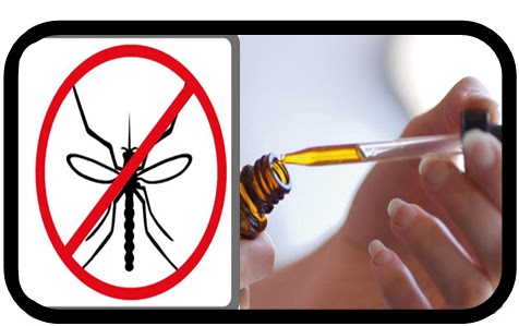 Натуральная защита от комаров и мошки: решение найдено