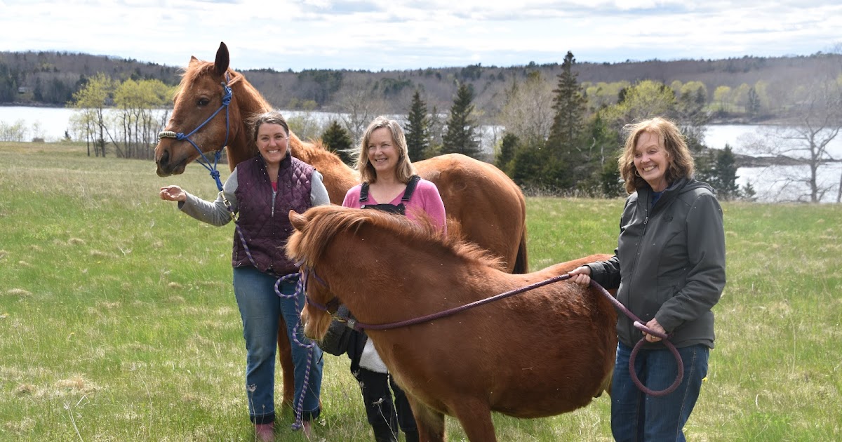 The Maine Spirit and the Horse The Maine Spirit and the Horse