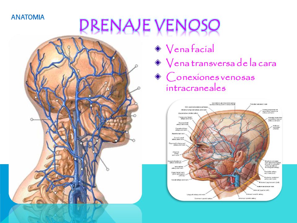 NEUROTRANSMISORES NEUROTRANSMISORES