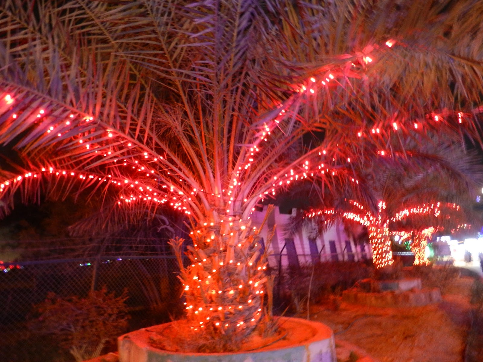 Kuweight 64 AHMADI LIGHTS TURNS MAGICAL FOR KUWAIT NATIONAL AND