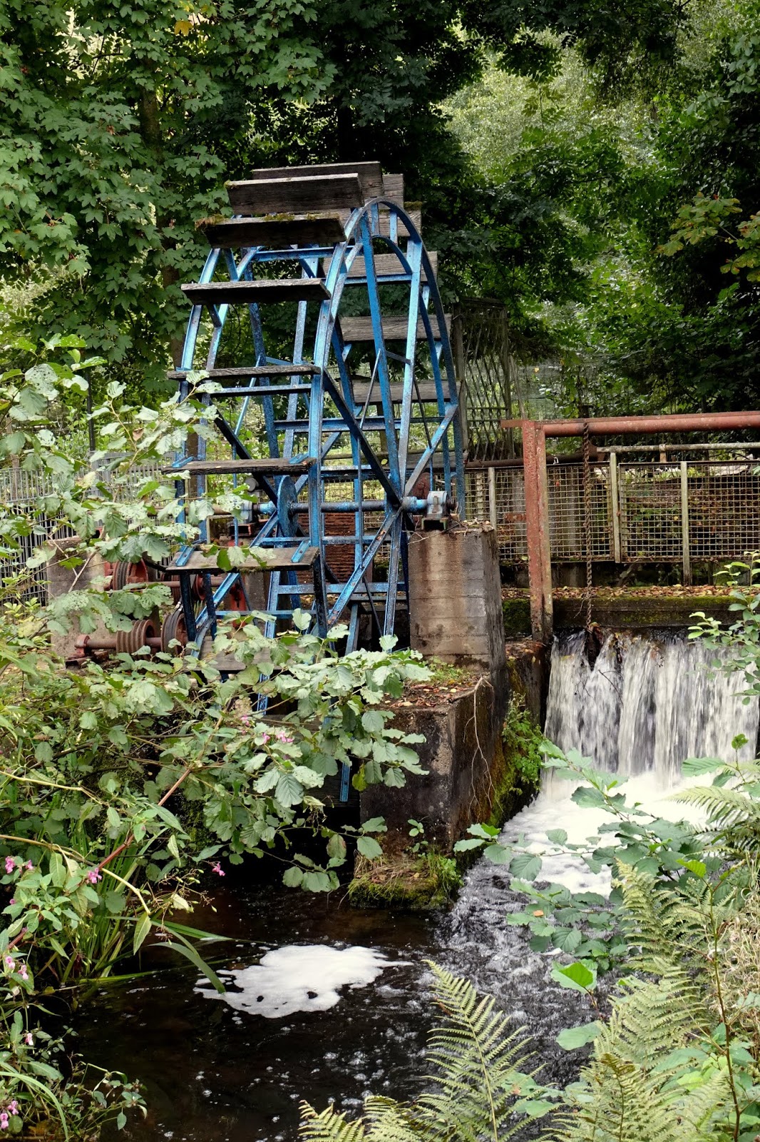 Mosel Archive Mogroach