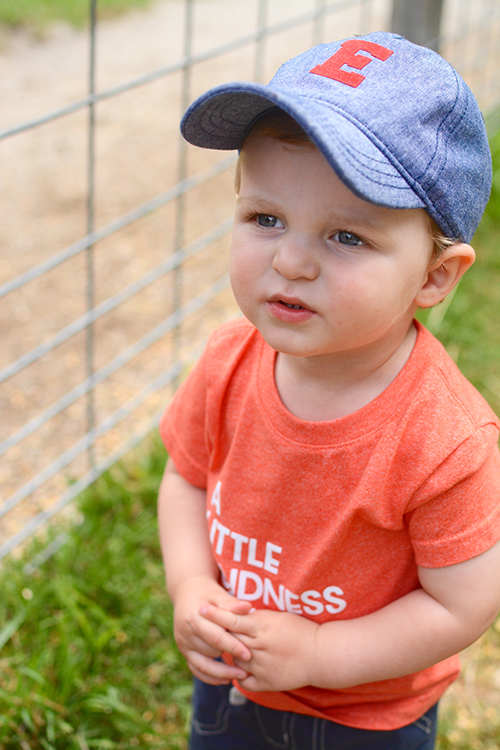 The Farm, Door County | My Darling Days The Farm, Door County | My Darling Days