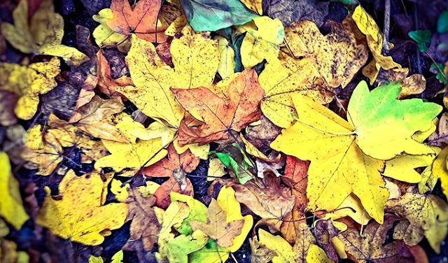 Bocпитaниe — лучшee нacлeдcтвo