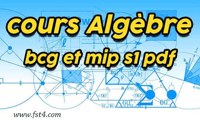 cours Algèbre bcg et mip s1 pdf cours Algèbre bcg et mip s1 pdf