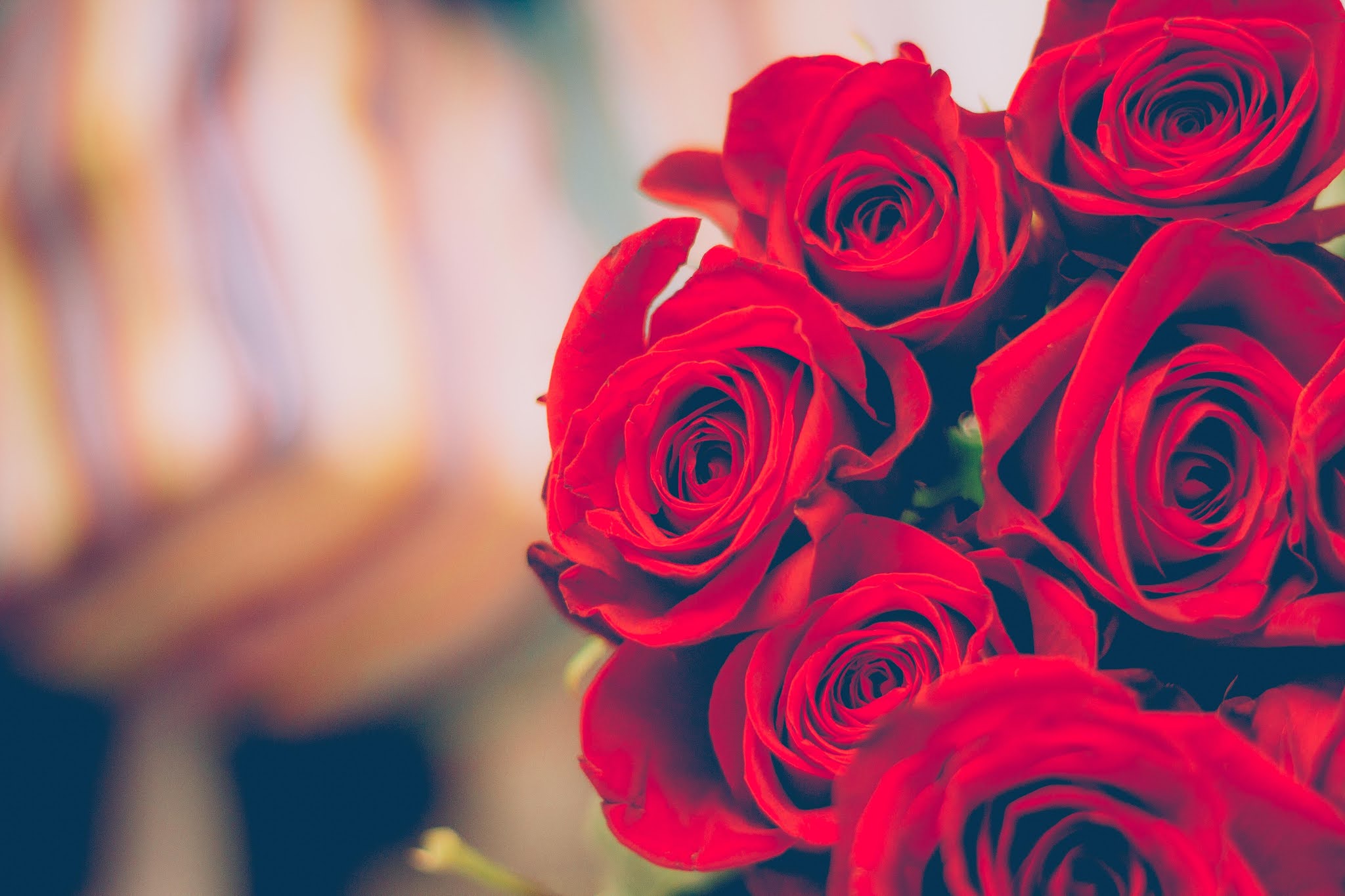 The rose is called the queen of flowers. This flower is given as a gift to the people of love. 