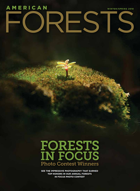American Forests Magazine Cover