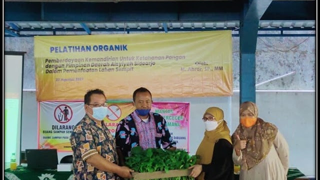 Tim Abdimas Umsida Latih Anggota 'Aisyiyah Sidoarjo Bertani Organik