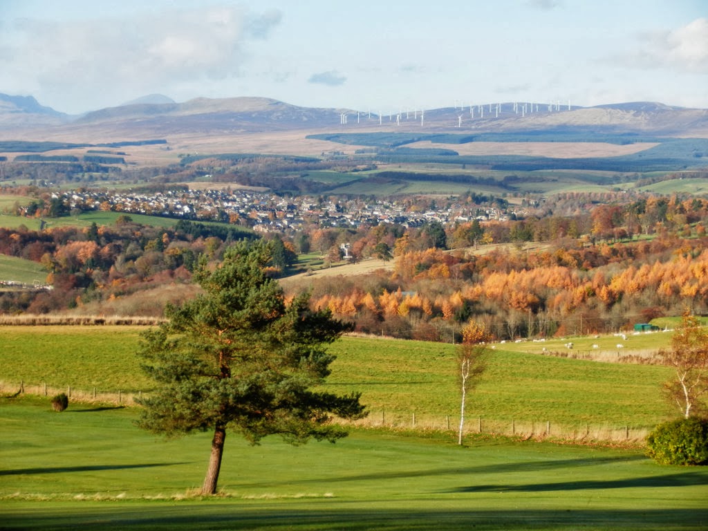 My Daily Walk Mine Wood Bridge of Allan and a couple of extra photos