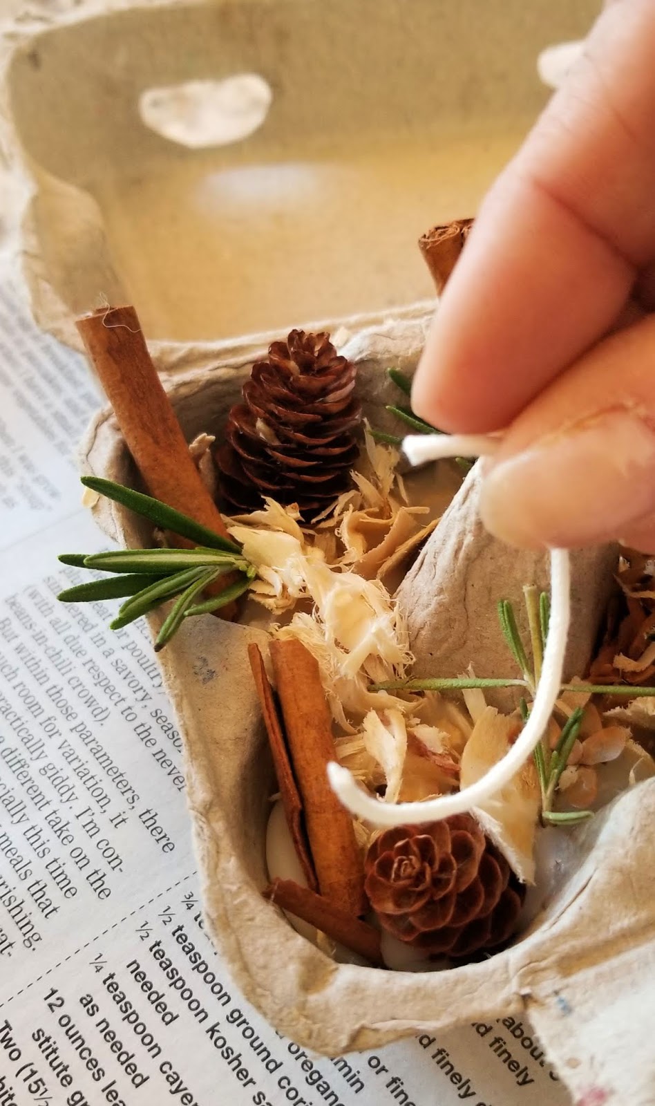 DIY Beeswax Egg Carton Fire Starters Fresh Eggs Daily® with Lisa Steele