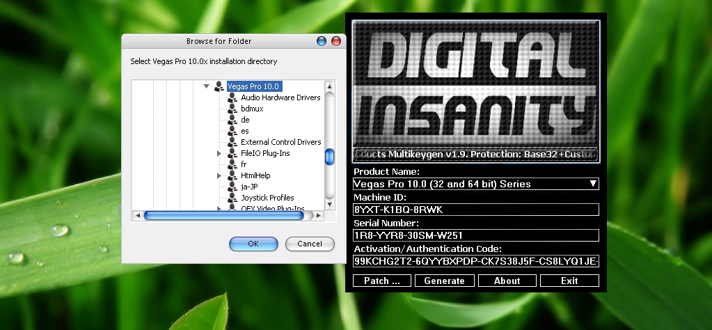 Digital insanity sony vegas pro 13 download