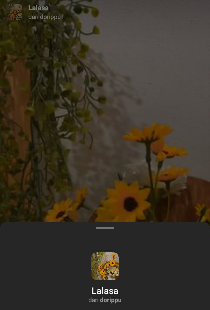 Filter Instagram