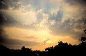 sky bandra evening sunset bandra mumbai india dramatic clouds bird trees