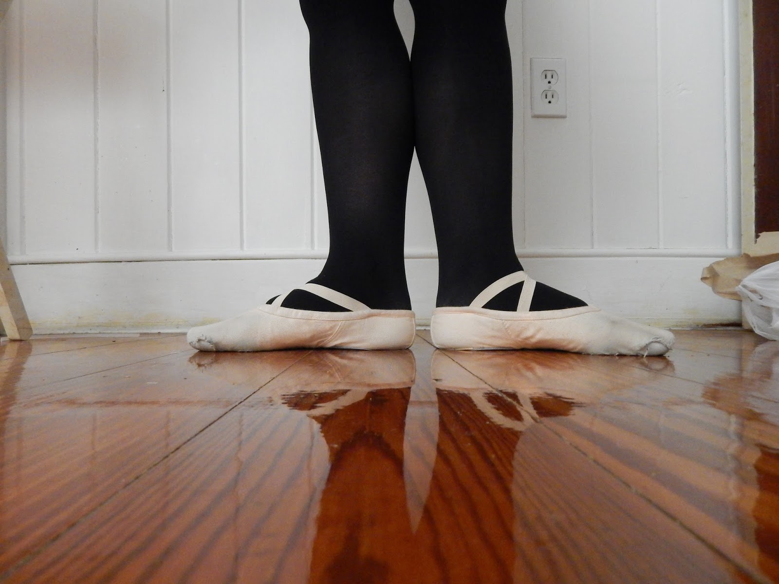 Sometimes I Do Things So you want to know how ballet shoes work
