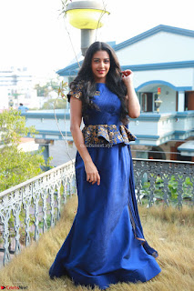 Daksha Nagarkar in Blue Anarkali Dress At Lakme Summer Resort January 2017 Pre Show Press Meet  (182)