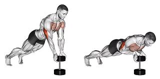 Close-grip-push-ups-on-Dumbbell