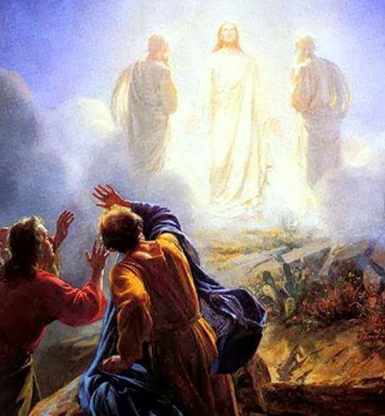 A divindade de Cristo (6) Semeando