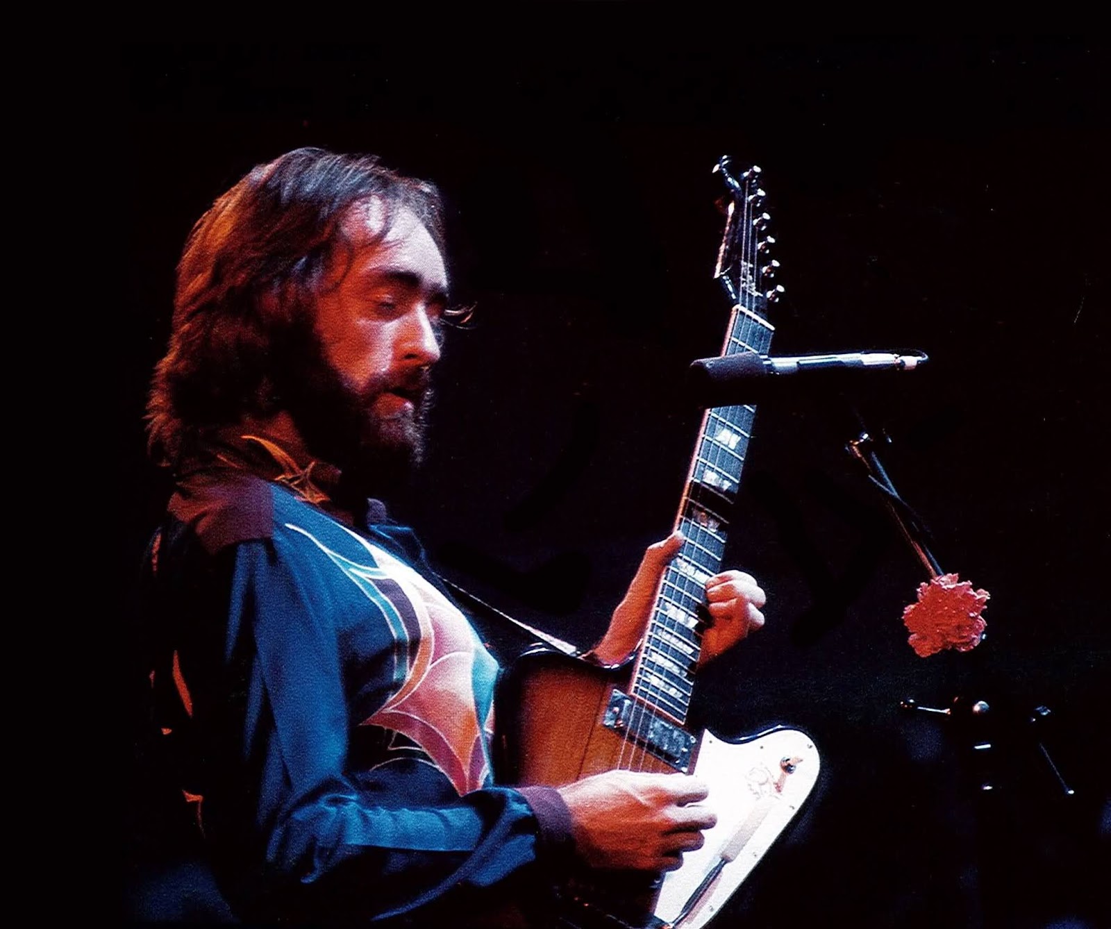 Forestdweller: Dave Mason