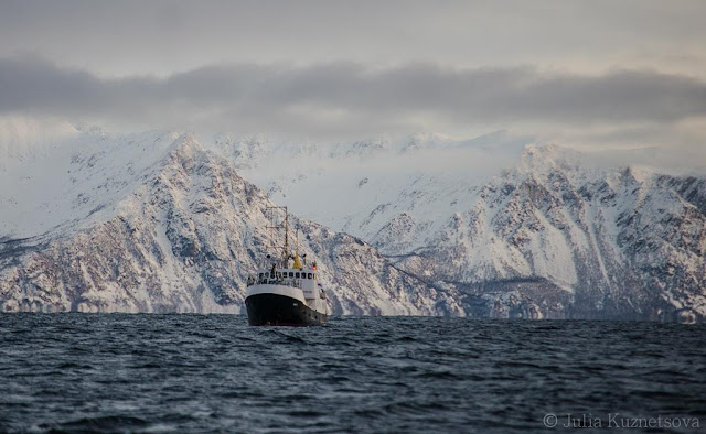 Nager avec les orques en Norvège le bateau 