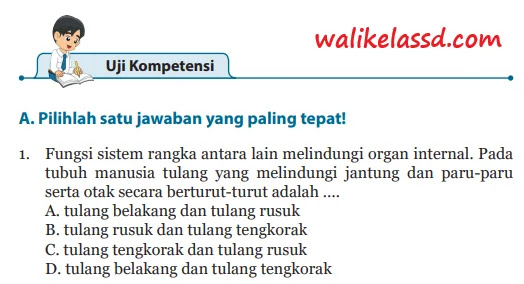 Kunci Jawaban Ipa Kelas 8 Uji Kompetensi Bab 1 Halaman 66 67 68 69 70 Wali Kelas Sd