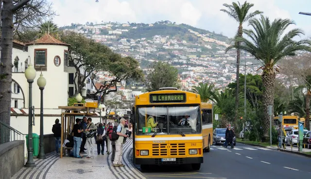 Public bus in Funchal, Madeira