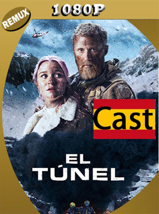 El Tunel (2019) 1080P BD-Remux Castellano [Google Drive] Tomyly