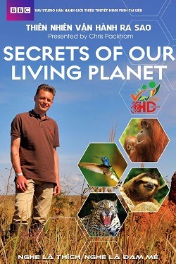 Thiên Nhiên Vận Hành Ra Sao - Secrets of Our Living Planet