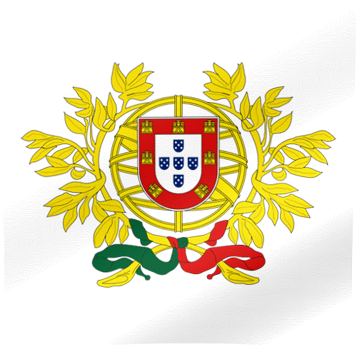 Portugal Flag GIF | All Waving Flags