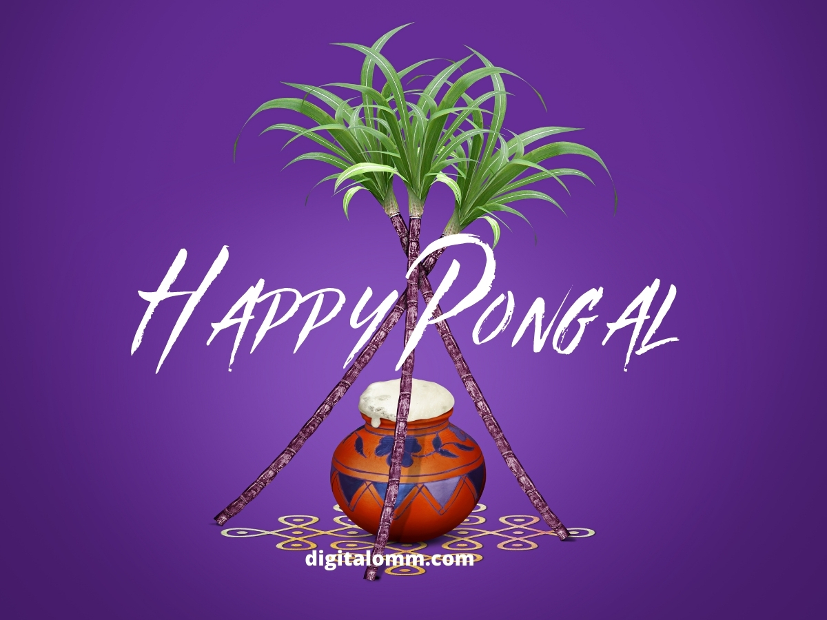 Happy Pongal Images