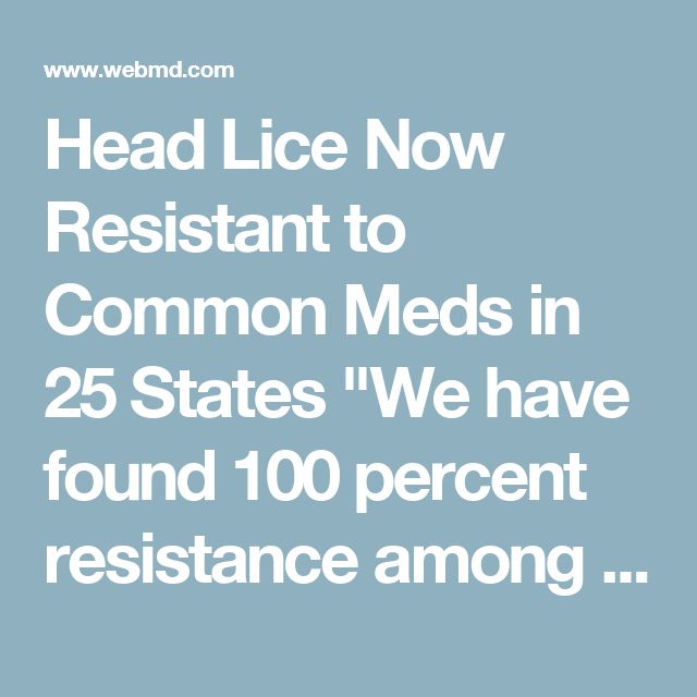 Head Lice Treatment With Tea Tree Oil Caraway Seeds Health Benefits