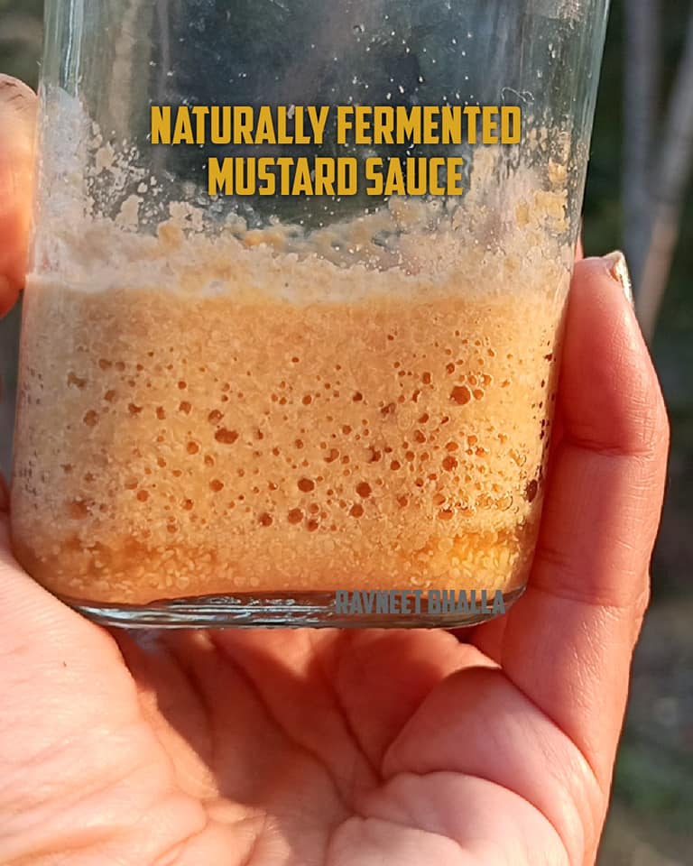How to make Lacto Fermented Yellow Mustard Recipe in India Natural