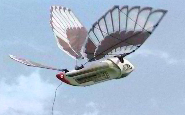 Ornithopter, Pesawat Terbang yang Mengepakkan Sayap Seperti Burung
