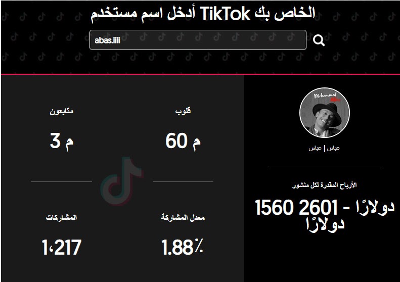 ارباح التيك توك