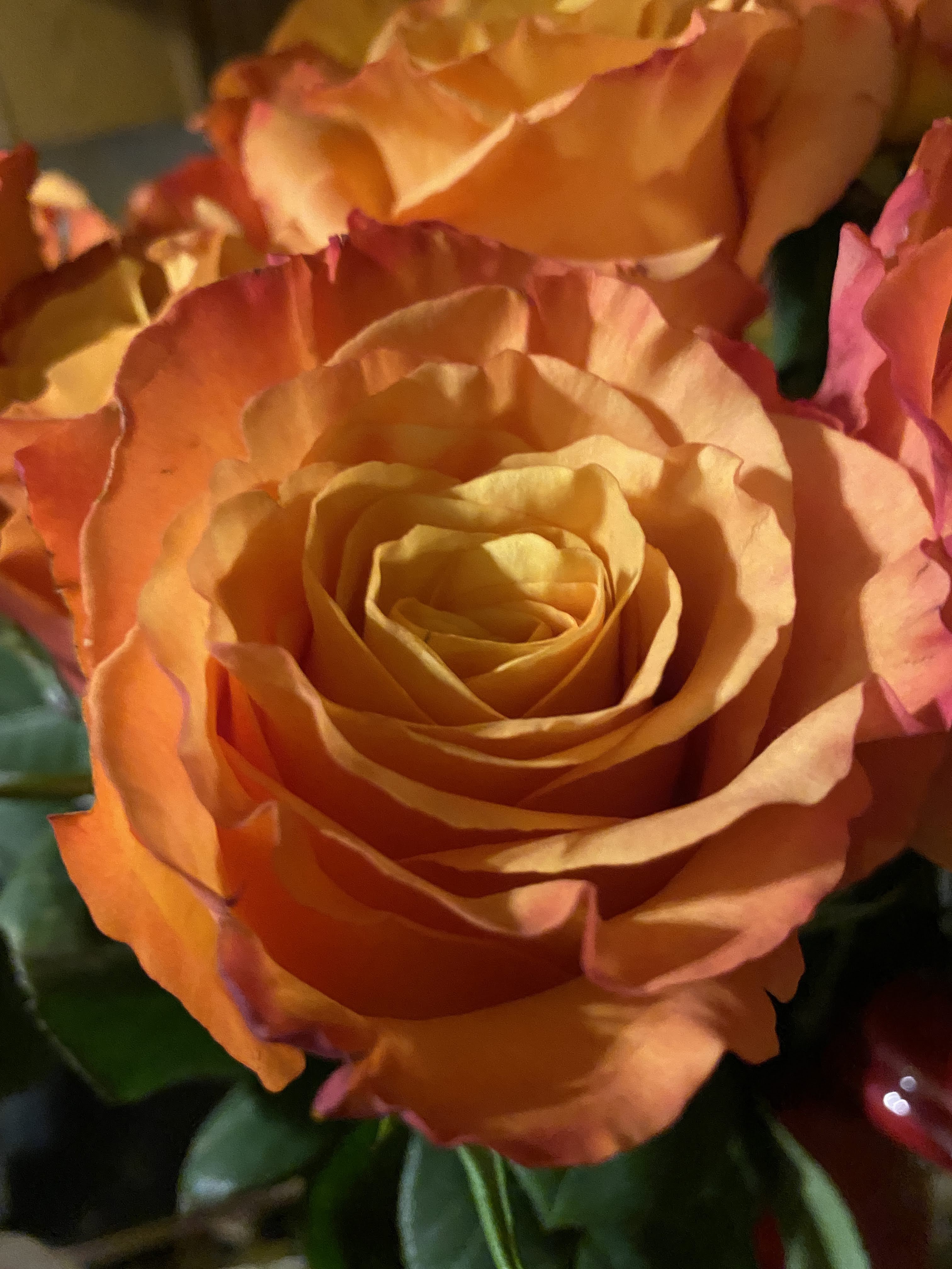 Sweetest Day Roses