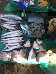 Fish sellers in Namphalong in Myanmar.